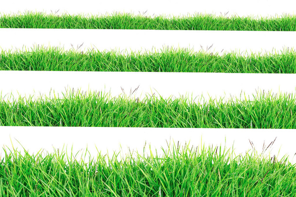 Fronteira de grama verde isolada no fundo branco
. - Foto, Imagem