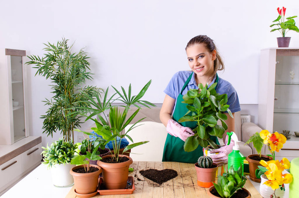 Молодая садовница с растениями в помещении - Фото, изображение