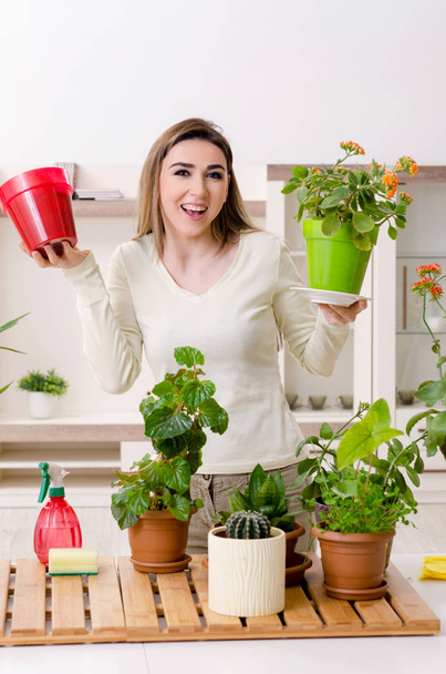 Junge Gärtnerin mit Pflanzen im Haus - Foto, Bild