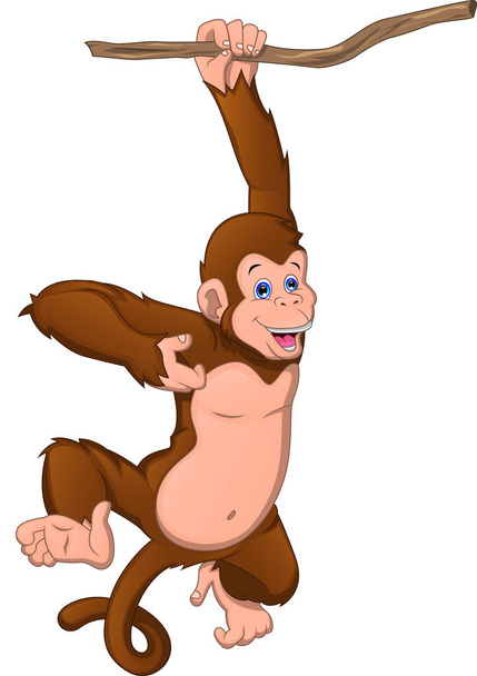 cute monkey cartoon on a white background - Vector, Image