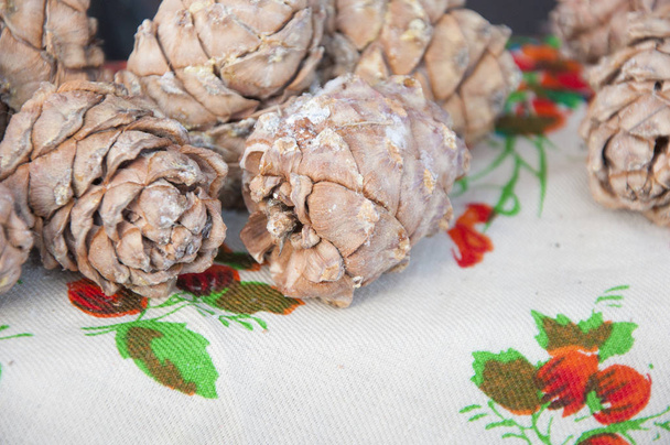 Cedrové borové šišky s ořechy - Fotografie, Obrázek