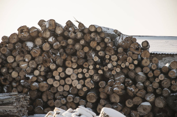 Pile de grumes de bois en hiver. Industrie du bois
. - Photo, image