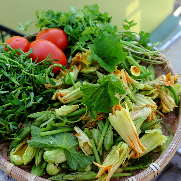 овощи для веганской еды, бутон из тыквы готов к приготовлению
  - Фото, изображение