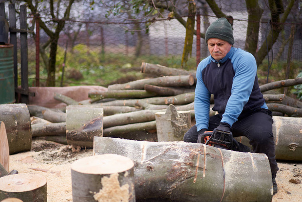Lumberjack working on beech logs with chainsaw - Valokuva, kuva