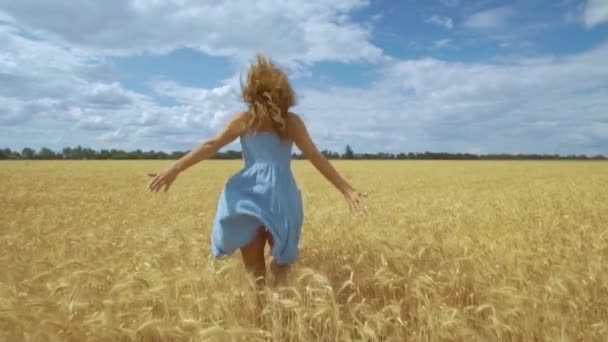 Вид спереду на молоду безтурботну жінку в одязі. Вона біжить через поле, торкаючись вух ручної пшениці, насолоджуючись свободою і спокоєм на сільській природі влітку. Сповільнення
. - Кадри, відео