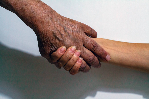 Старые и молодые женщины держатся за руки
 - Фото, изображение