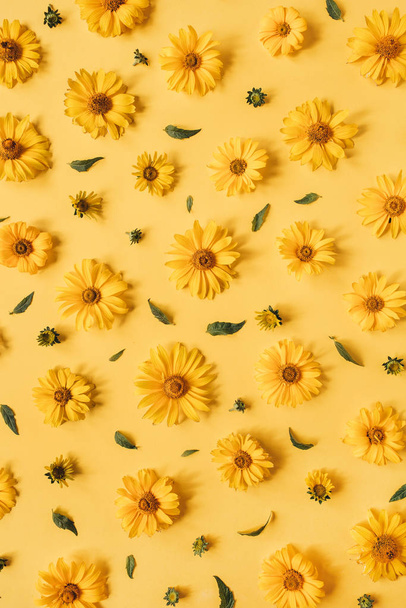 Flat lay gele madeliefje bloemknoppen patroon op gele achtergrond. Bovenaanzicht bloemige textuur. - Foto, afbeelding