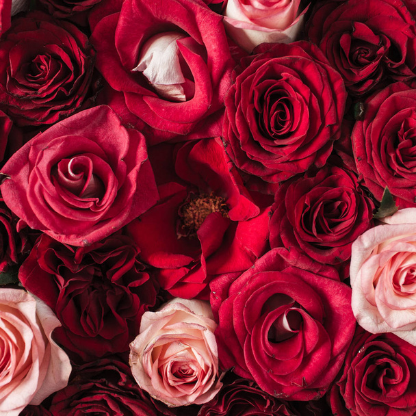 florale Komposition mit rotem, rosa Rosenblüten Muster Textur Hintergrund. flach, Ansicht von oben. - Foto, Bild