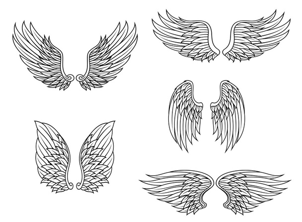 Conjunto de alas heráldicas - Vector, Imagen