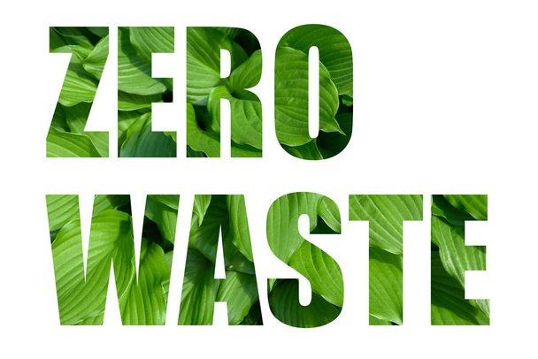 zero waste text with green leaves on white background - Foto, Imagem