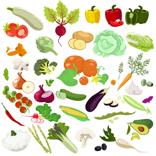 Set of vegetables isolated on a white background. Vector graphics. - Vektor, obrázek