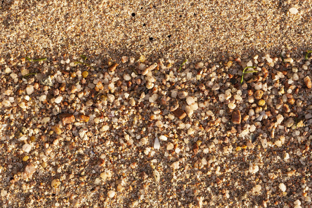Kis kavicsok alkotják a tengerpart hátterét. Durva többszínű homok. - Fotó, kép