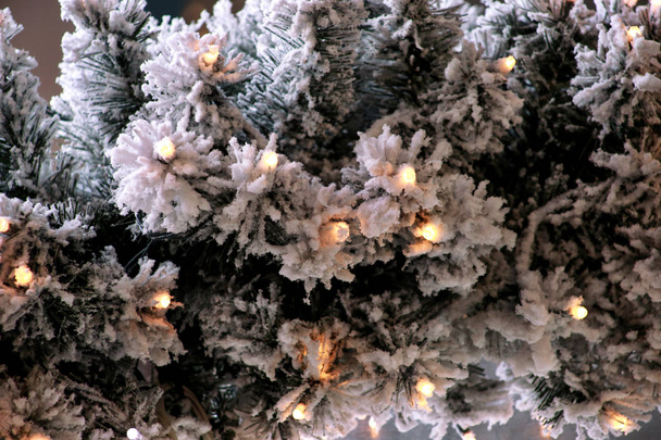 Traditionele kerst knipperende lichten op groene twijgen boom van den bedekt met sneeuw laag in de winter. Fir boom takken met rijstkoord lampen. Ornamenten voor kerstviering, vakantie scene. - Foto, afbeelding