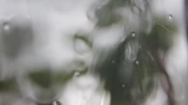 βαριές σταγόνες βροχής πέφτουν στο γυαλί - Πλάνα, βίντεο