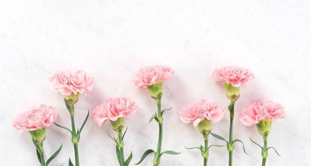 Beautiful, elegant pink carnation flower over bright white marble table background, concept of Mother's Day flower gift, top view, flat lay, overhead - Фото, зображення