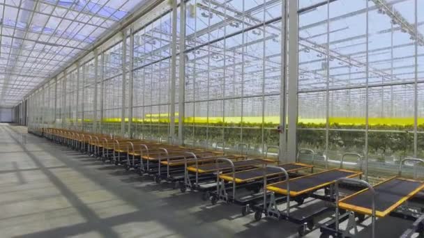 Special equipment in the greenhouse - Footage, Video