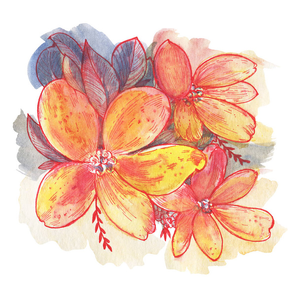 Watercolor  flowers isolated on a white background. Hand-drawn illustration.  - Foto, Imagem