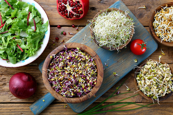 healthy food sprouts ,vegetarian salad with sprouts - Photo, Image