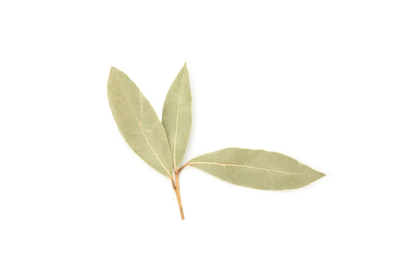 Dried bay leaves isolated on white background - Fotografie, Obrázek