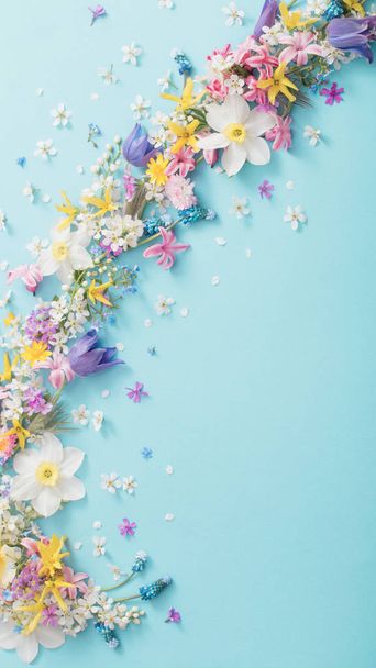 spring flowers on paper background - Zdjęcie, obraz