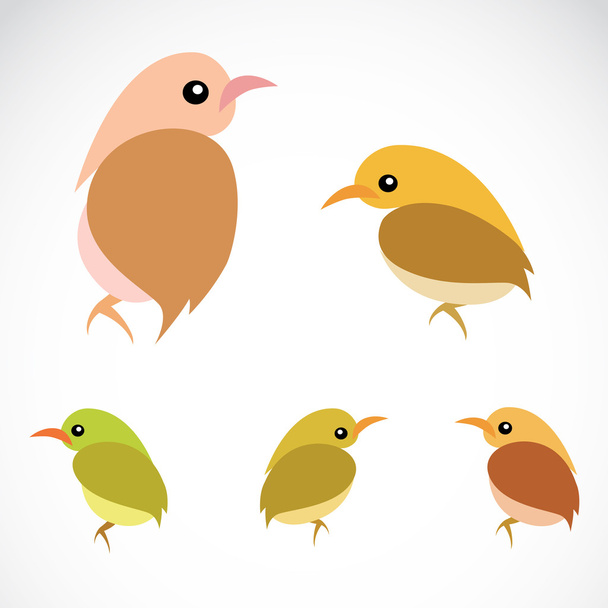 Vector image of an sparrow - Vector, Image
