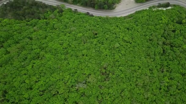 vista aerea dall'alto della strada nella foresta di montagna
 - Filmati, video