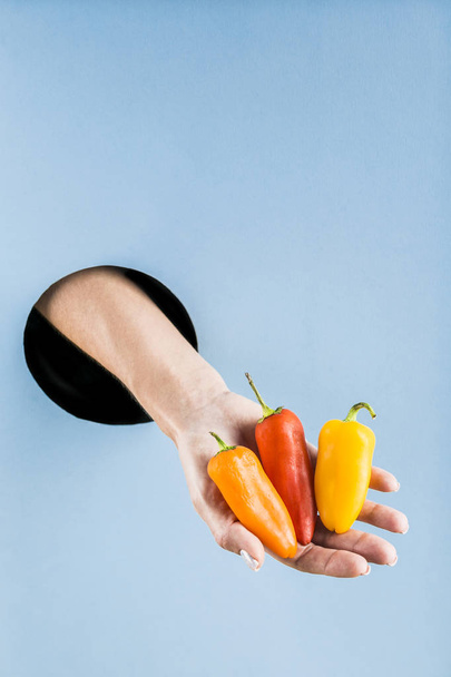 A woman's hand pulls colored mini peppers out of a black hole in - Zdjęcie, obraz