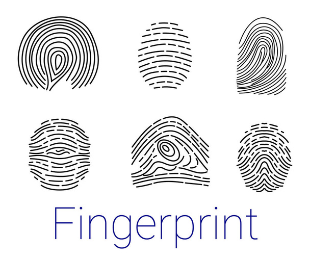 Set of various fingerprints loops, curls, patterns. Vector illustration. - Vector, Image