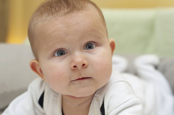 Close up portrait of infant baby with blue eyes. - Foto, Imagem