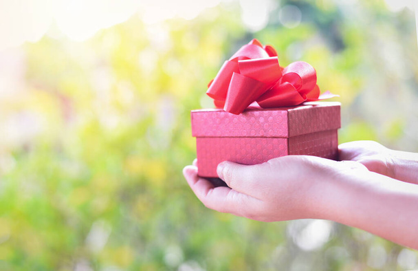 Kırmızı hediye kutusunu elinde tutan bir kadın, sevgililer günü kartı verir  - Fotoğraf, Görsel