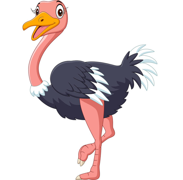 Vector illustration of Cute ostrich cartoon on white background - Vector, Image