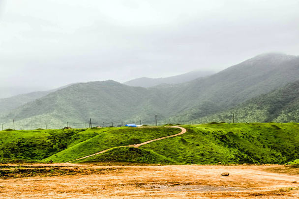Světle zelená krajina, stromy a mlhavé hory v turistickém letovisku Ayn Khor, Salalah, Omán - Fotografie, Obrázek