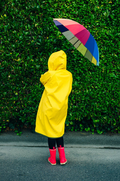 meisje in een gele regenjas op een achtergrond van een muur met gras met een multi-gekleurde paraplu - Foto, afbeelding