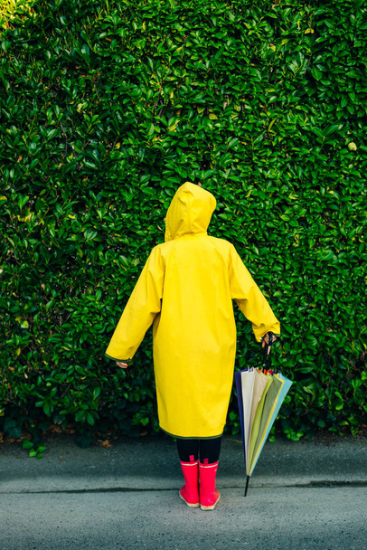 dziewczyna w żółtym płaszczu przeciwdeszczowym na tle ściany z trawą z wielokolorowym parasolem - Zdjęcie, obraz