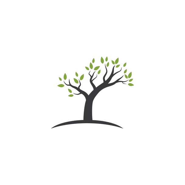 szablon logo drzewo - Wektor, obraz