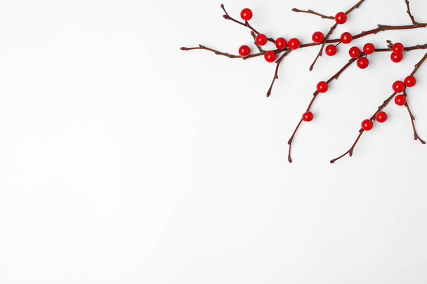 Winter composition with decorative branches on white background, top view - Foto, afbeelding