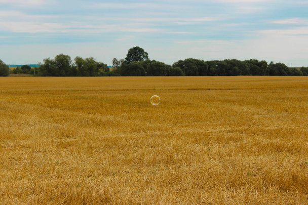Weizenfeld nach der Ernte. schöner Himmel über dem Feld und der - Foto, Bild
