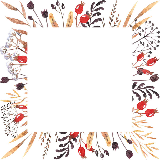 Watercolor square outer frame with dried winter herbs, leaves and dog-rose berries isolated on white background. Autumn illustration. Hand drawn floral element perfect for invitations, greeting cards. - Foto, Imagen
