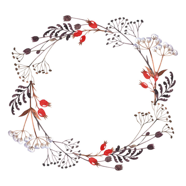 Watercolor round frame with dried winter herbs,  leaves and dog-rose berries isolated on white background. Autumn illustration. Hand drawn floral wreath for invitations, greeting cards, postcards. - Fotoğraf, Görsel