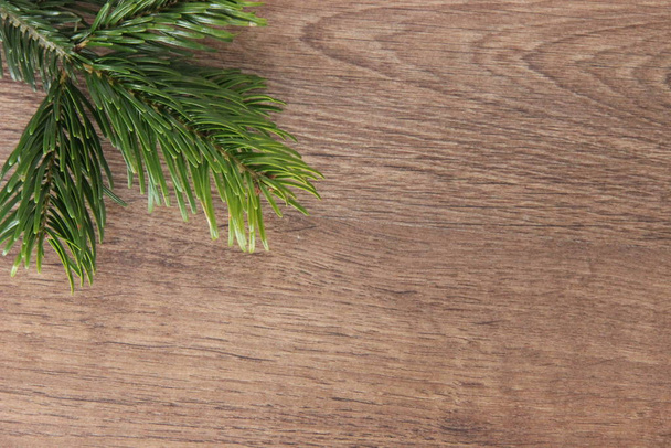 Background for your text or photo background for subject shooting. Wooden background with a branch of Norman fir. - 写真・画像