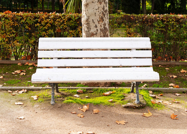 banco de madeira branco em um parque
 - Foto, Imagem