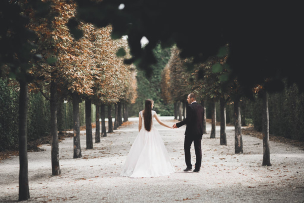 Stylish couple of happy newlyweds walking in the park on their wedding day with bouquet - 写真・画像