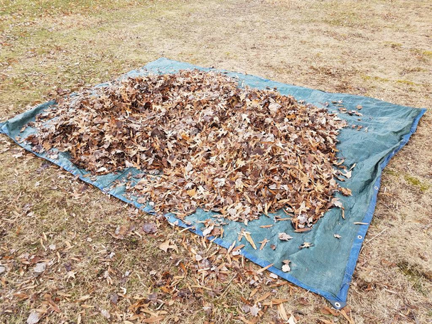 μπλε μουσαμά και πεσμένα καφέ φύλλα το φθινόπωρο ή το χειμώνα - Φωτογραφία, εικόνα