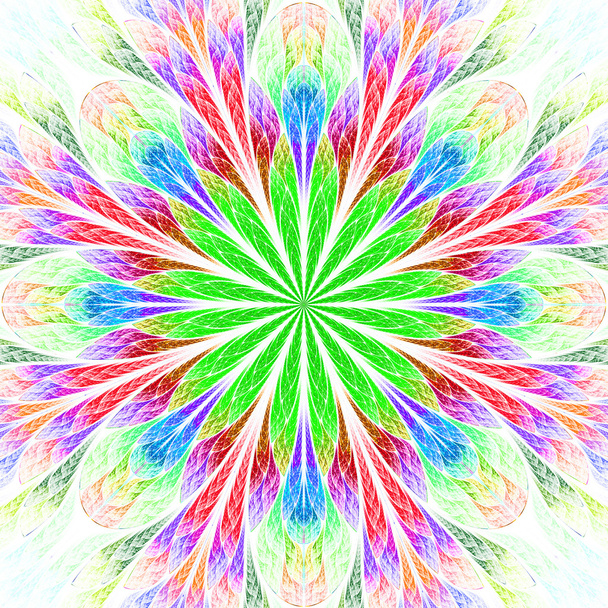Multicolor mooie fractale bloem. computer gegenereerde graphics - Foto, afbeelding