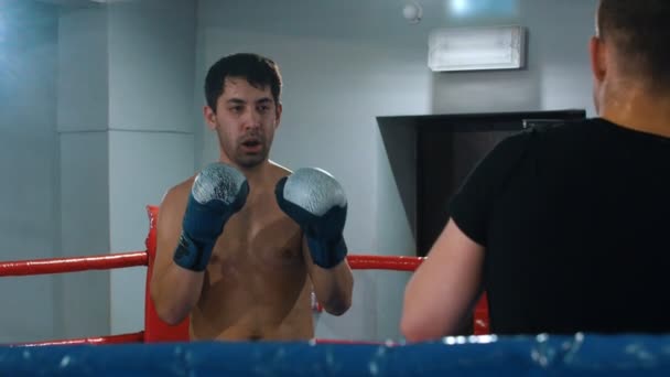 Box - mężczyźni rozpoczynają walkę na ringu w kolorowych rękawiczkach - Materiał filmowy, wideo