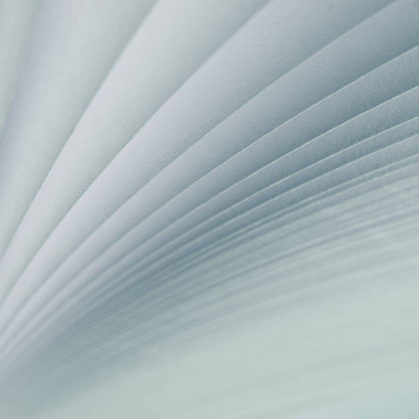 Borrosa. Un fondo claro de las páginas blancas de un libro blanco abierto
 - Foto, imagen
