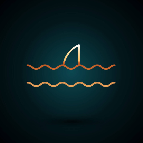 Línea dorada Aleta de tiburón en el icono de la ola oceánica aislada sobre fondo azul oscuro. Ilustración vectorial
 - Vector, imagen