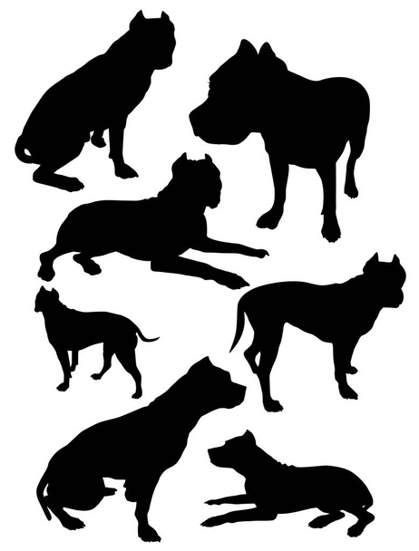 silhouetten pitbull vector  - Vector, afbeelding