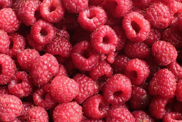 raspberry berry ripe and juicy macro photography - Photo, Image