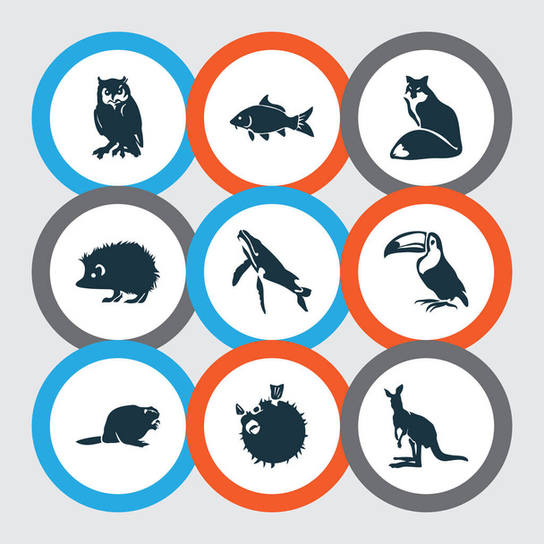 Icone dello zoo con canguro, riccio, pesce palla e altri elementi di uccelli tropicali. Isolato vettoriale illustrazione zoo icone
. - Vettoriali, immagini